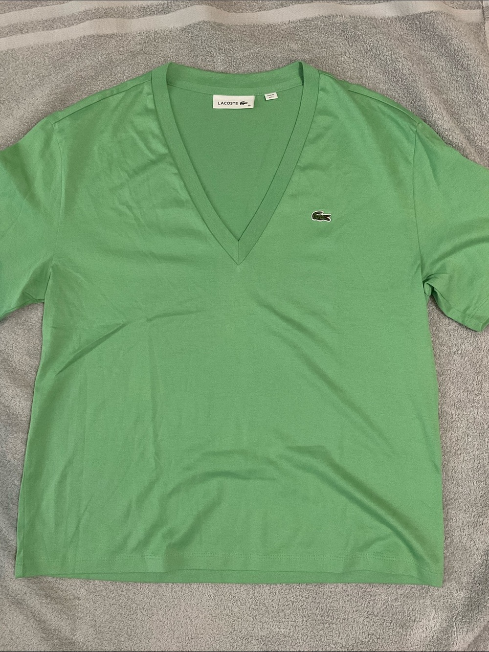 Lacoste V-Neck Tee in Mint Green with Crocodile Logo
